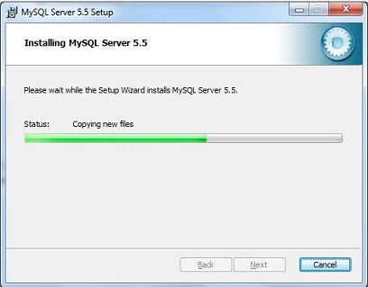 Mysql installation progress